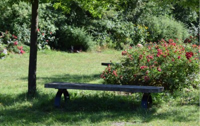 04 friedhof blankenese landschaftsgrab popup3 v2