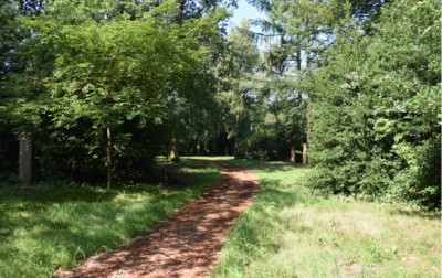 03 friedhof blankenese waldbegraebnis popup2