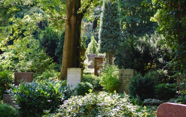 01 friedhof blankenese friedhof header